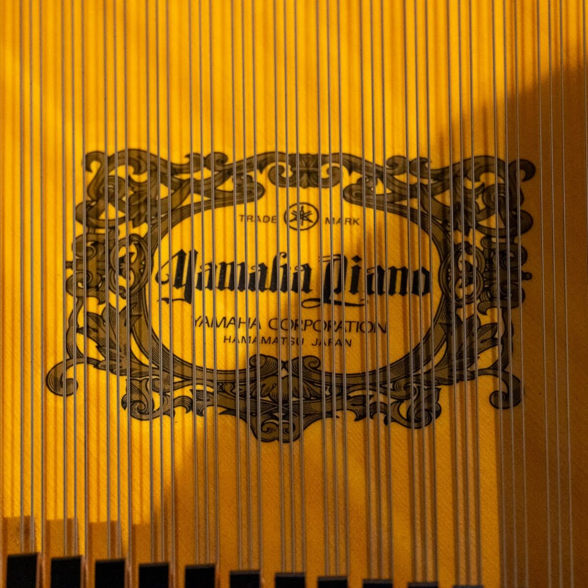 Yamaha C7FII Professional Semi-Concert Grand