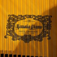 Yamaha C7FII Professional Semi-Concert Grand