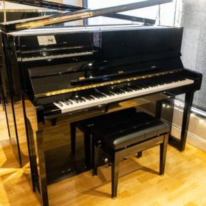 Image forWilhelm Schimmel W123T Professional Upright #2