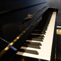 Wilhelm Schimmel W123T Professional Upright #2