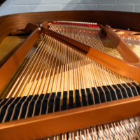 Yamaha C2X Professional Smaller Conservatory Grand