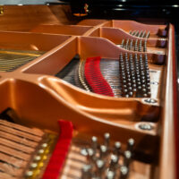 Yamaha C2X Professional Smaller Conservatory Grand