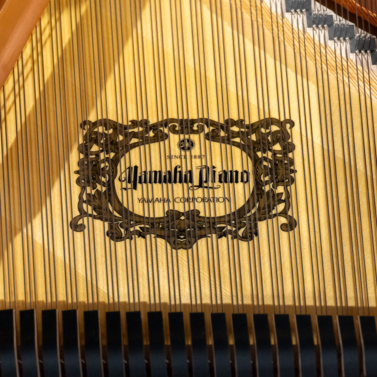 Yamaha C2X Professional Smaller Conservatory Grand