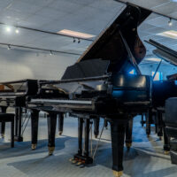 Selection of grand pianos, showcasing polished ebony finishes and premium craftsmanship at Classic Pianos Denver showroom.