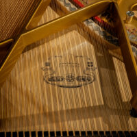 Estonia L190 Hand Built European Conservatory Grand #1