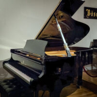 Steinway & Sons 1923 “A” Fully Restored Vintage Conservatory Grand