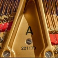 Steinway & Sons 1923 “A” Fully Restored Vintage Conservatory Grand