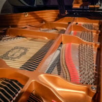 Yamaha DC3X Enspire PRO Disklavier Reproducing Conservatory Grand