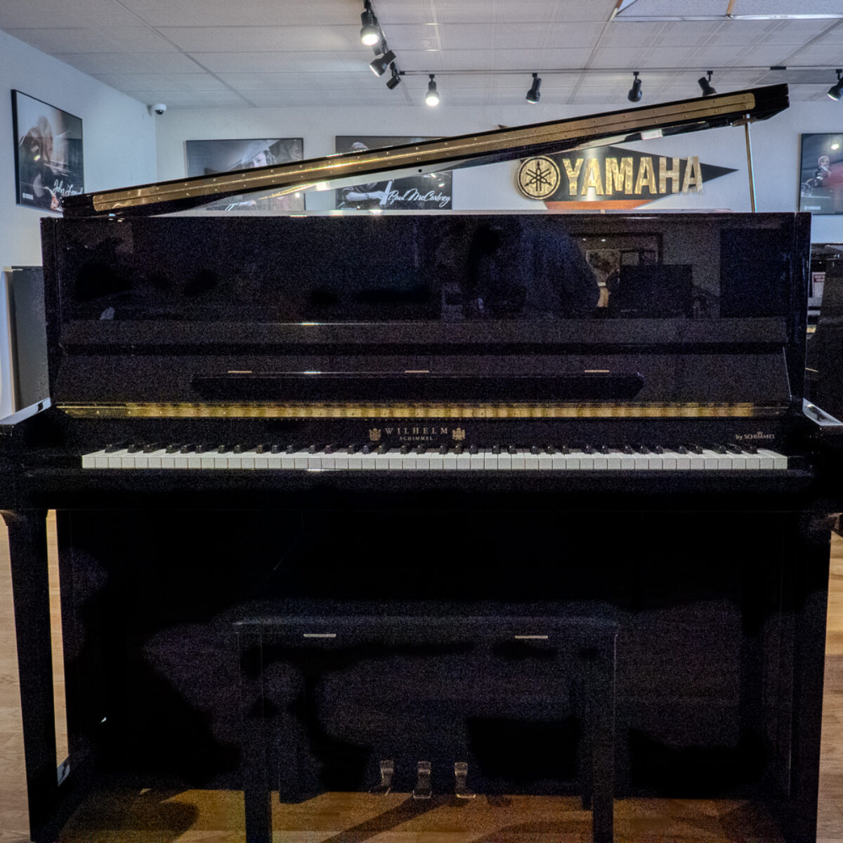 Wilhelm Schimmel W123T Professional Upright #1
