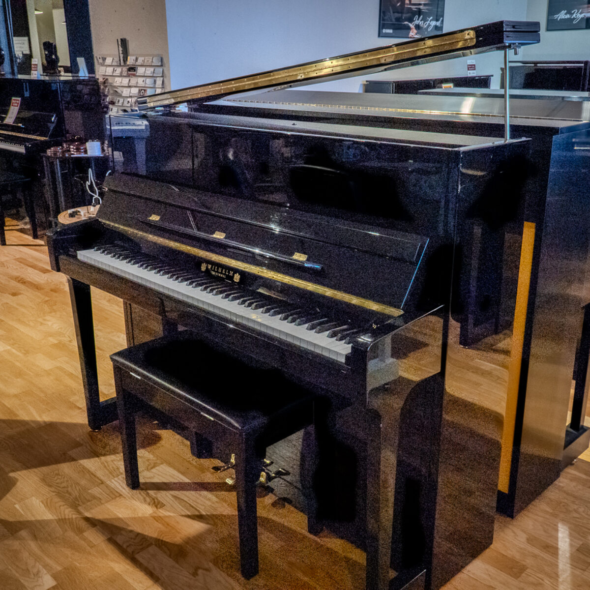 Wilhelm Schimmel W123T Professional Upright #1