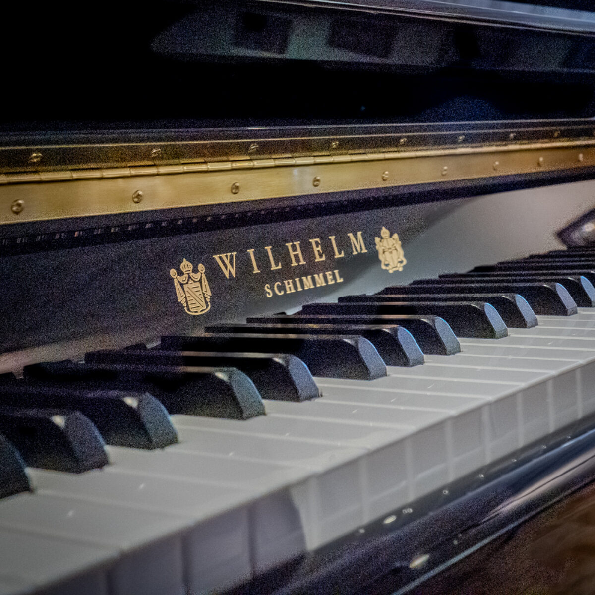 Wilhelm Schimmel W123T Professional Upright #1