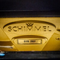Wilhelm Schimmel W123T Professional Upright #1