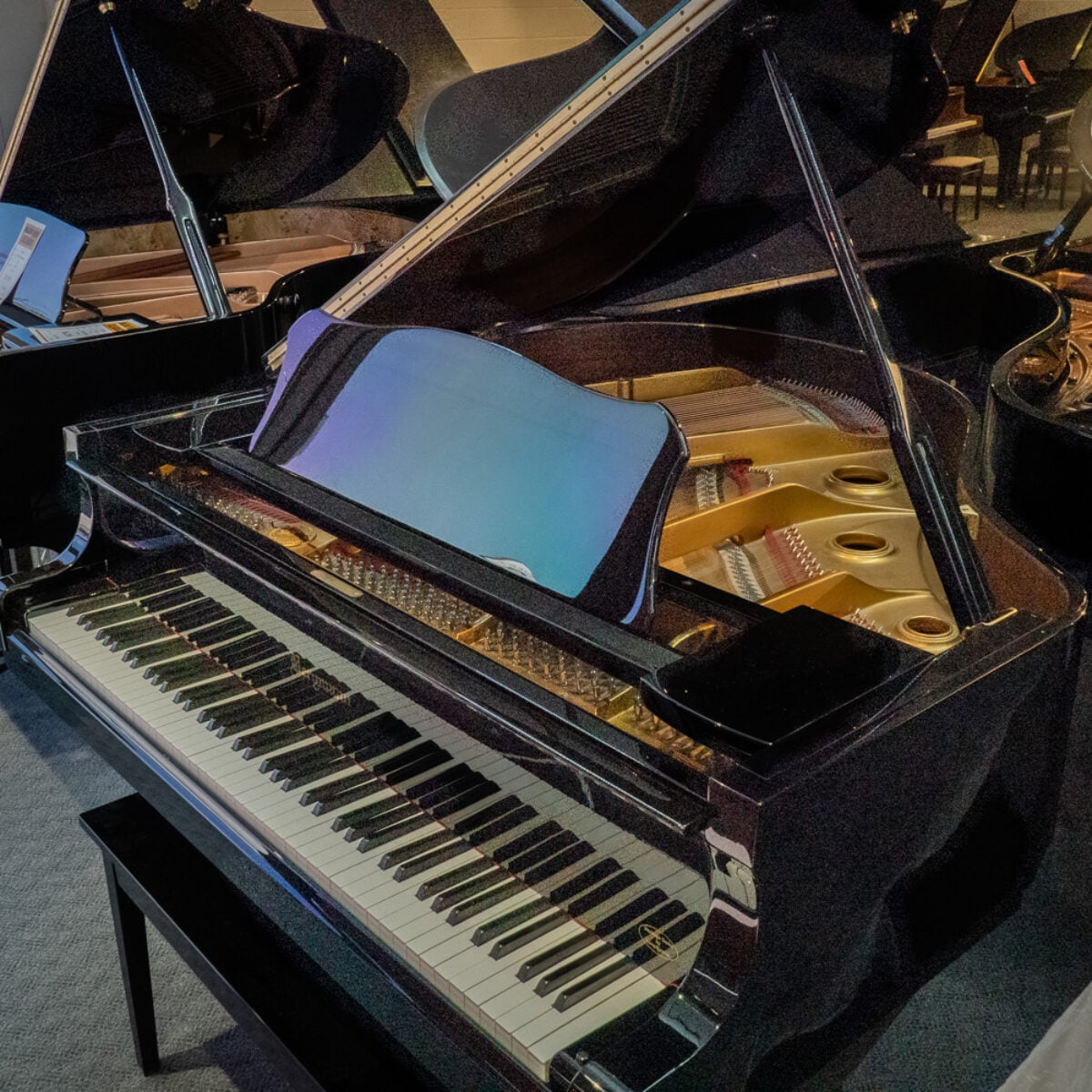Bergman TG-150 Baby Grand