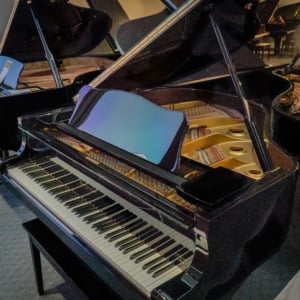 Image forBergman TG-150 Baby Grand