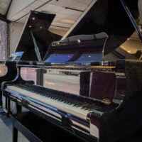 Bergman TG-150 Baby Grand