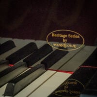 Bergman TG-150 Baby Grand