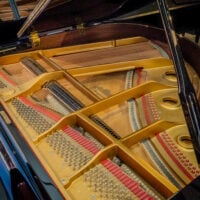 Bergman TG-150 Baby Grand