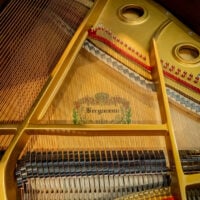 Bergman TG-150 Baby Grand