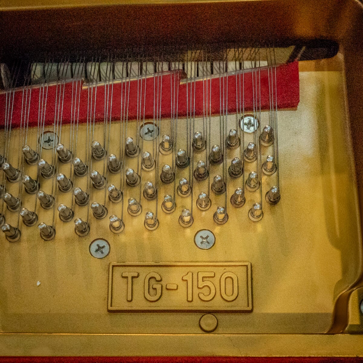 Bergman TG-150 Baby Grand