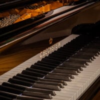 C. Bechstein 1924 “B” Fully Restored Vintage German Artist Grand