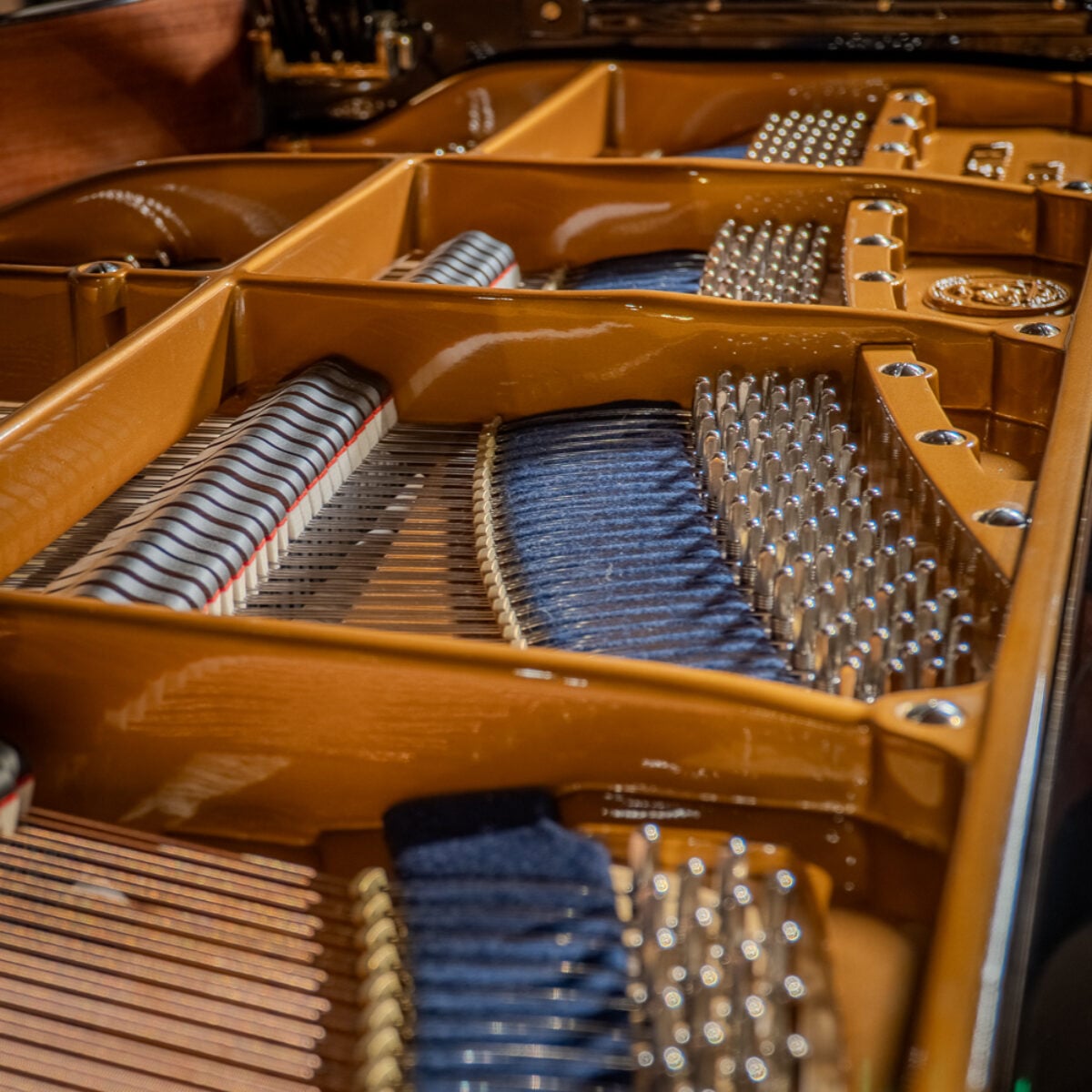 C. Bechstein 1924 “B” Fully Restored Vintage German Artist Grand