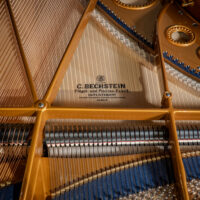 C. Bechstein 1924 “B” Fully Restored Vintage German Artist Grand