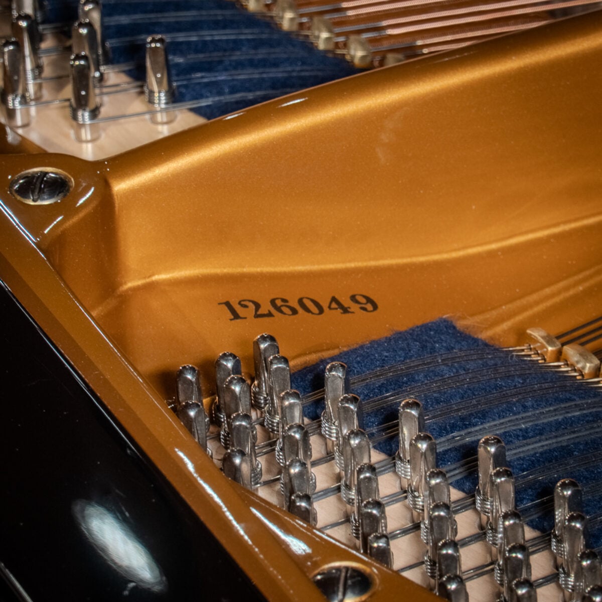 C. Bechstein 1924 “B” Fully Restored Vintage German Artist Grand