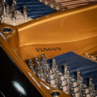 C. Bechstein 1924 “B” Fully Restored Vintage German Artist Grand