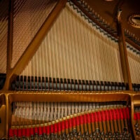 Steinway & Sons 1912 “A” Fully Restored Vintage Conservatory Grand