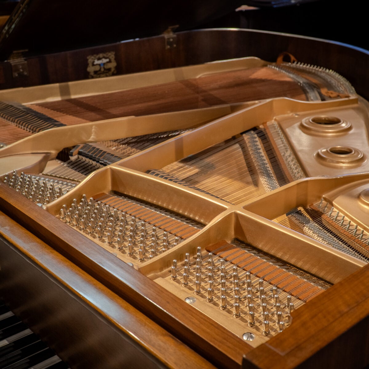 Kawai KG-1D Living Room Grand