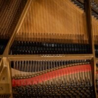 Steinway & Sons 1923 “M” Hand built Living Room Grand
