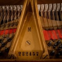 Steinway & Sons 1923 “M” Hand built Living Room Grand