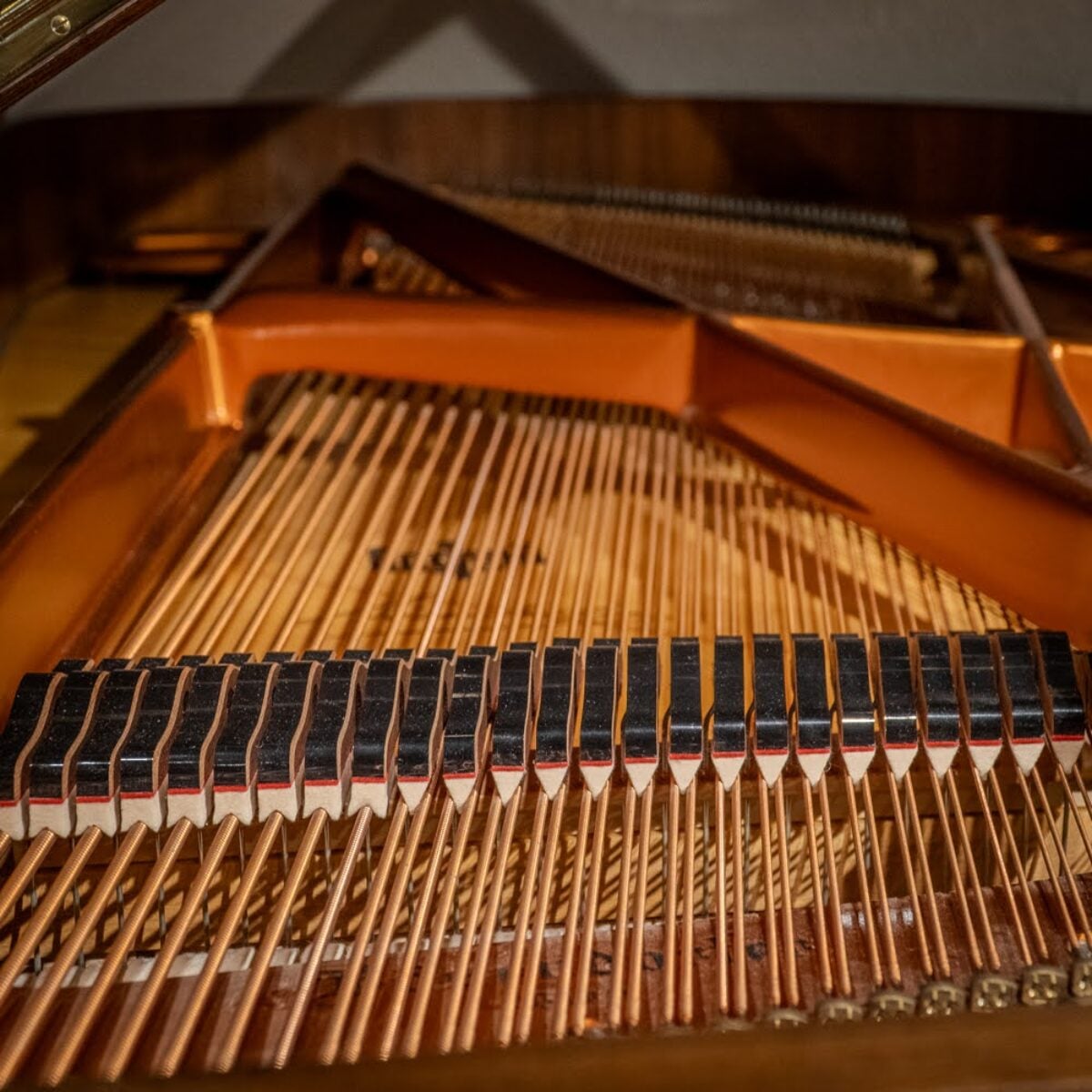 Bösendorfer 200 Conservatory Grand