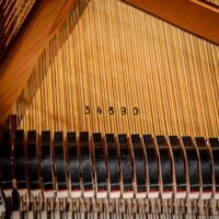 Bösendorfer 200 Conservatory Grand