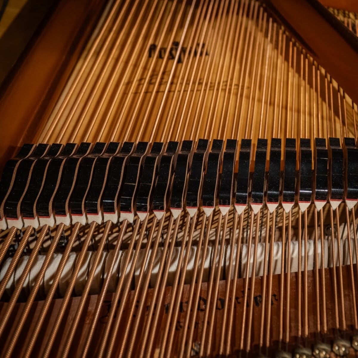 Bösendorfer 200 Conservatory Grand