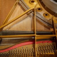 Steinway & Sons 2021 “B” Hand built American Conservatory Grand