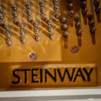 Steinway & Sons 2021 “B” Hand built American Conservatory Grand
