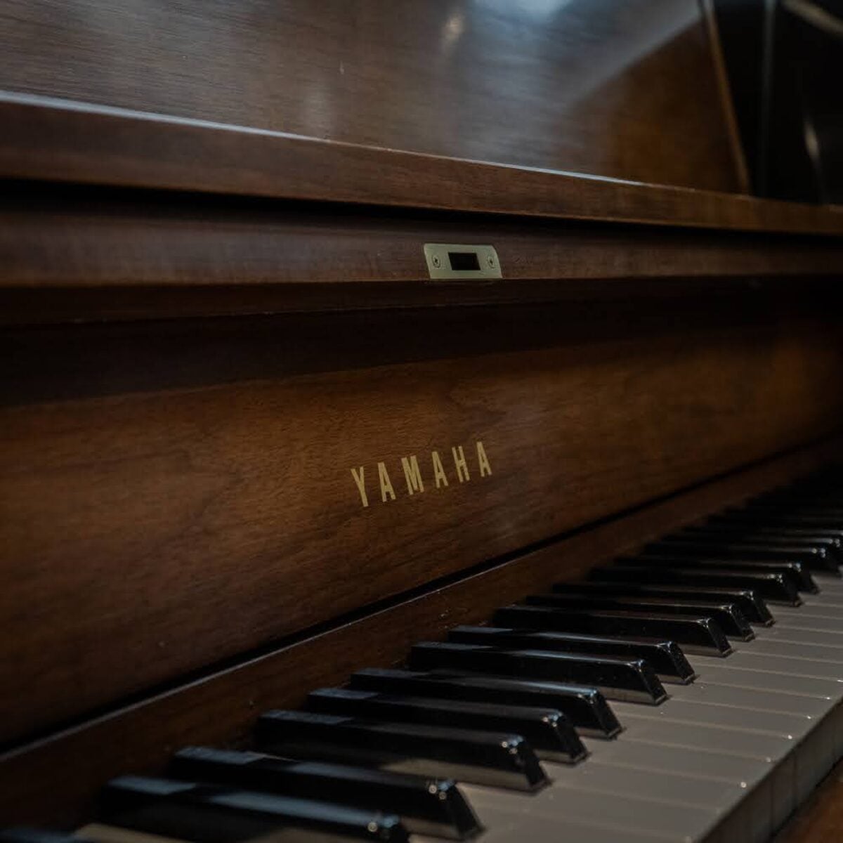 Yamaha P22 Institutional Studio