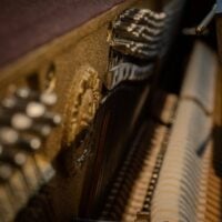 Yamaha P22 Institutional Studio