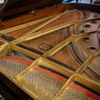 Yamaha C7FII Conservatory Semi-Concert Grand