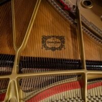 Yamaha C7FII Conservatory Semi-Concert Grand