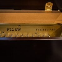 Yamaha P22D Institutional Style Studio