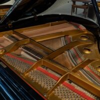 Young Chang G-150 Baby Grand