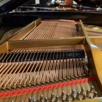 Young Chang G-150 Baby Grand