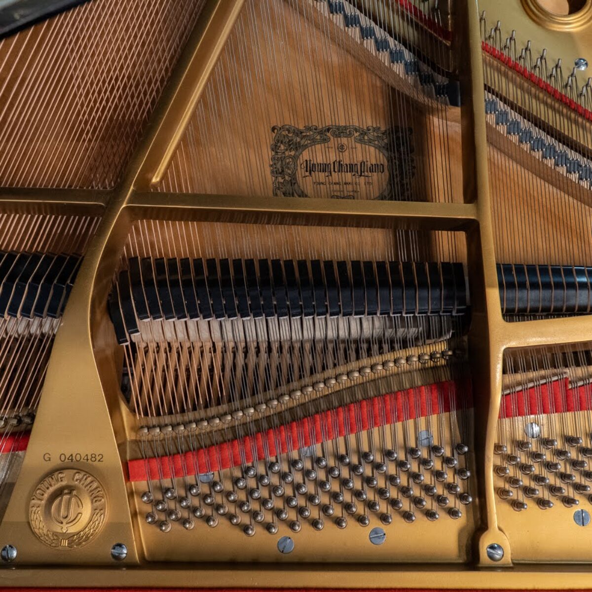 Young Chang G-150 Baby Grand