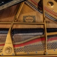 Young Chang TG-150 Baby Grand