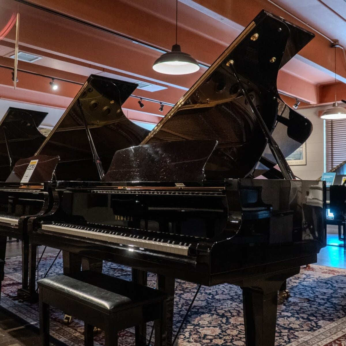 Yamaha grand pianos showcased in a beautifully lit showroom; perfect for discerning musicians seeking quality instruments.