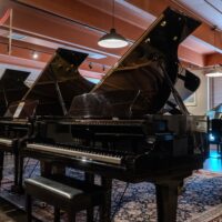 Yamaha grand pianos showcased in a beautifully lit showroom; perfect for discerning musicians seeking quality instruments.