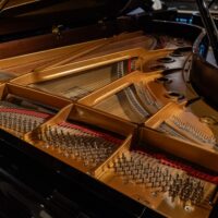 Yamaha S7X Professional Semi-Concert Grand