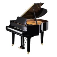Yamaha GCB